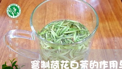 窨制荷花白茶的作用与功效/2023111006148