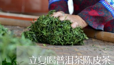 立夏喝普洱茶陈皮茶/2023091418472