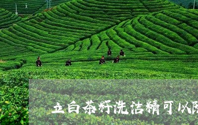 立白茶籽洗洁精可以除菌吗/2023111083259