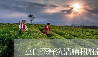 立白茶籽洗洁精和雕牌红柚/2023111067358