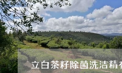 立白茶籽除菌洗洁精有毒吗/2023111043928