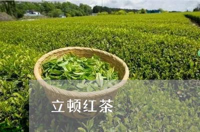 立顿红茶/2023110982714