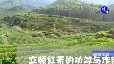 立顿红茶的功效与作用/2023071558392