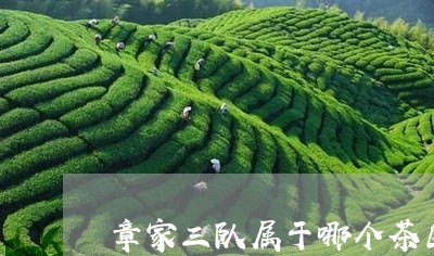 章家三队属于哪个茶区的/2023050602935