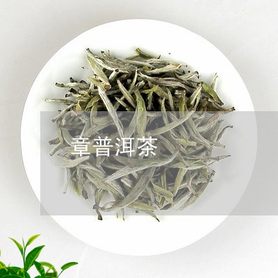章普洱茶/2023121857269