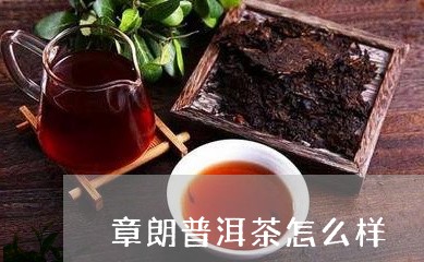 章朗普洱茶怎么样/2023120490603