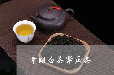 章朗白茶紧压茶/2023060960612