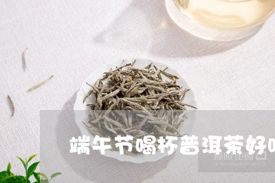 端午节喝杯普洱茶好吗视频/2023082847470