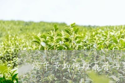 端午节如何推荐普洱茶/2023062328261