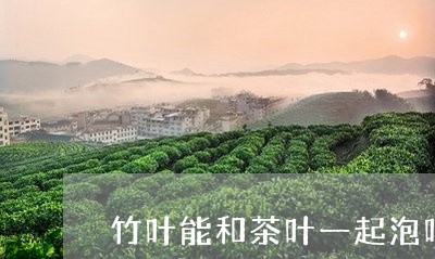 竹叶能和茶叶一起泡吗/2023061254737