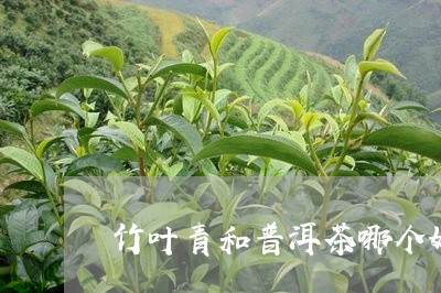 竹叶青和普洱茶哪个好/2023061795149