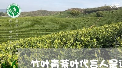 竹叶青茶叶代言人是谁/2023061200462