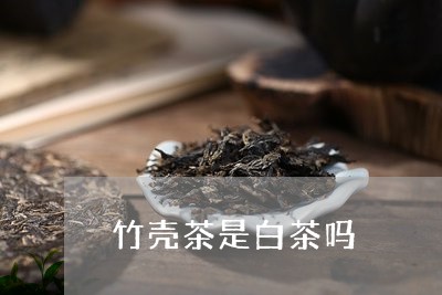 竹壳茶是白茶吗/2023060905038