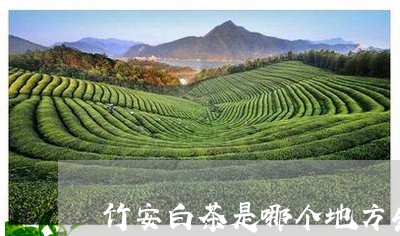 竹安白茶是哪个地方生产的/2023042755269