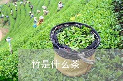 竹是什么茶/2023090291693