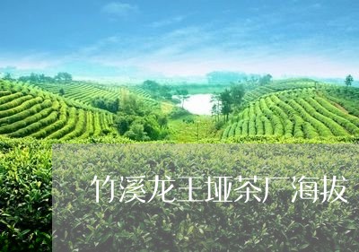 竹溪龙王垭茶厂海拔/2023042271925