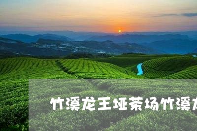 竹溪龙王垭茶场竹溪龙王垭茶厂/2023053163725