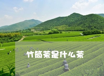 竹筒茶是什么茶/2023042903577