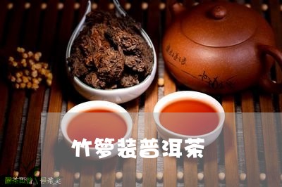 竹箩装普洱茶/2023102584838