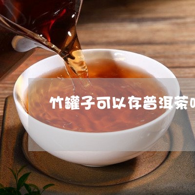 竹罐子可以存普洱茶吗/2023062315814