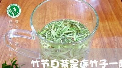 竹节白茶是连竹子一起泡吗/2023111099683