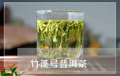 竹蓬号普洱茶/2023121824027