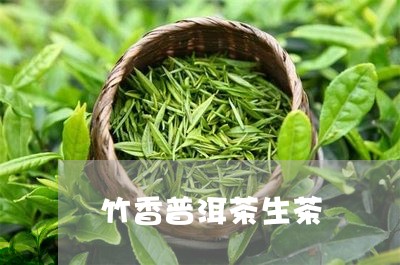 竹香普洱茶生茶/2023102694725