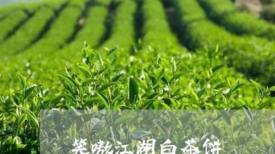 笑嗷江湖白茶饼/2023060840482