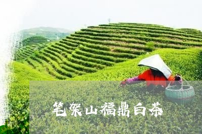 笔架山福鼎白茶/2023060821605