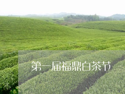 第一届福鼎白茶节/2023090986142