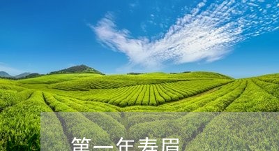 第一年寿眉/2023051139481