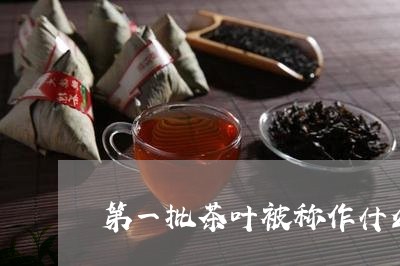 第一批茶叶被称作什么/2023092354146