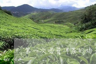 第一次喝普洱茶的场景/2023092567615