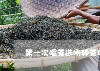 第一次喝茶选哪种茶叶/2023092320625