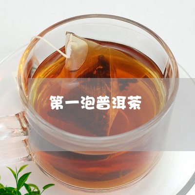 第一泡普洱茶/2023090679582