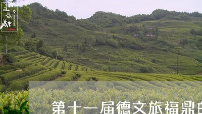 第十一届德文旅福鼎白茶/2023042686171