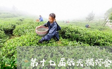 第十七届张天福杯金奖贡眉/2023110945089