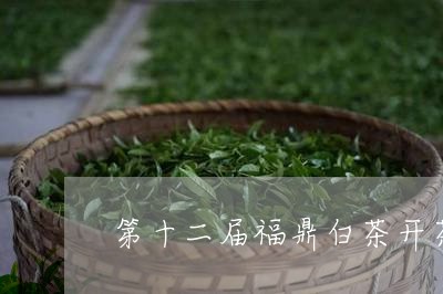 第十二届福鼎白茶开茶节地点/2023111652604