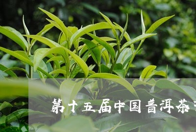 第十五届中国普洱茶节/2023062829573