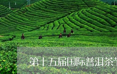 第十五届国际普洱茶节/2023092605957