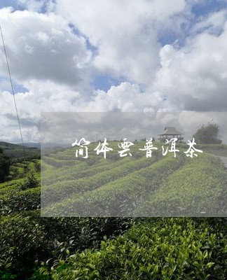 简体云普洱茶/2023042710363