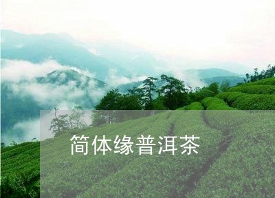 简体缘普洱茶/2023042636638