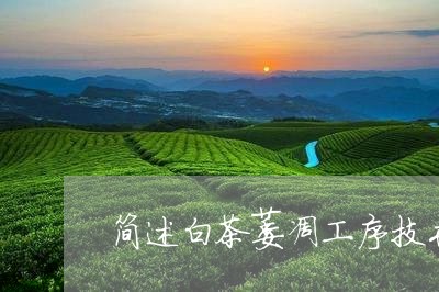 简述白茶萎凋工序技术参数/2023111076950