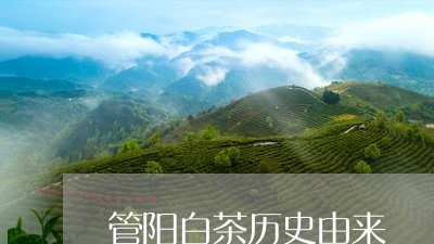 管阳白茶历史由来/2023071370602