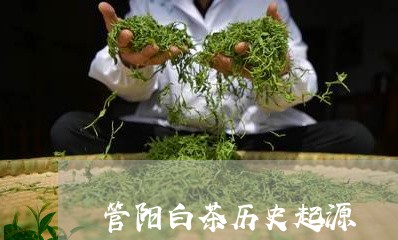 管阳白茶历史起源/2023071301716