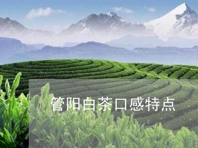 管阳白茶口感特点/2023071382825