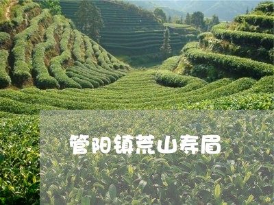 管阳镇荒山寿眉/2023112561594