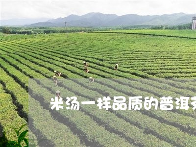 米汤一样品质的普洱茶/2023061565037