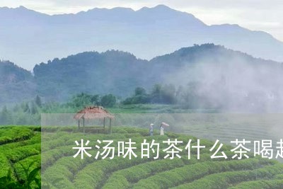 米汤味的茶什么茶喝起来有大米味/2023060269703