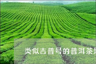 类似吉普号的普洱茶是什么茶/2023121861582